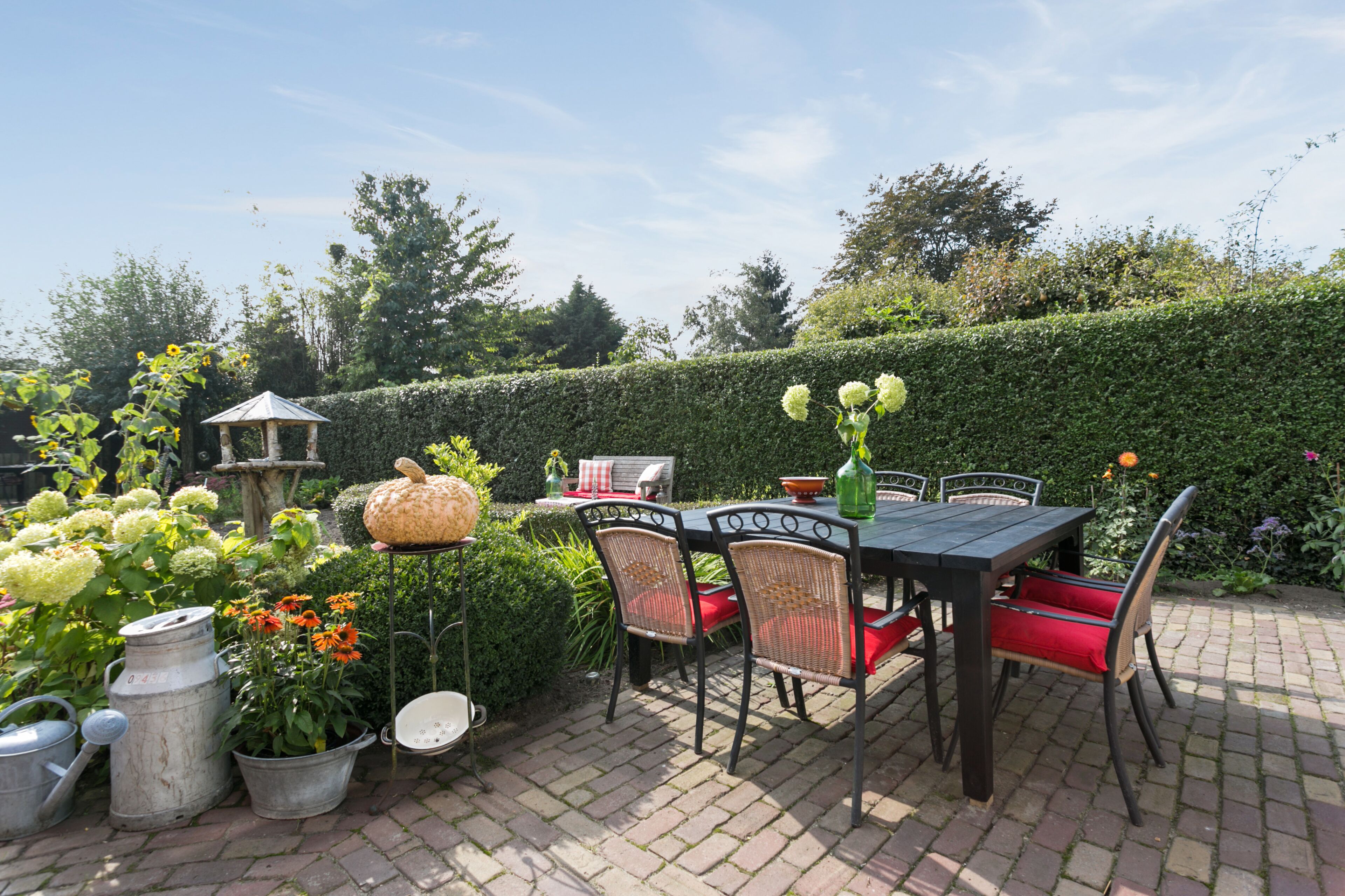 A patio with a table and chairs, surrounded by potted plants and a hedge.