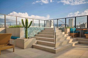 Terraza en la azotea con escaleras, zona de estar y una planta de cactus.
