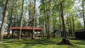 A park with a gazebo, picnic tables, a small house, and a large tree.