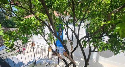 Renovated house in the heart of Argostoli