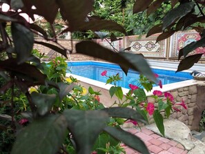 Pool - Deluxe ROOM (Batumi)