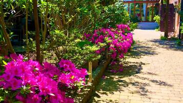 Jardines del alojamiento