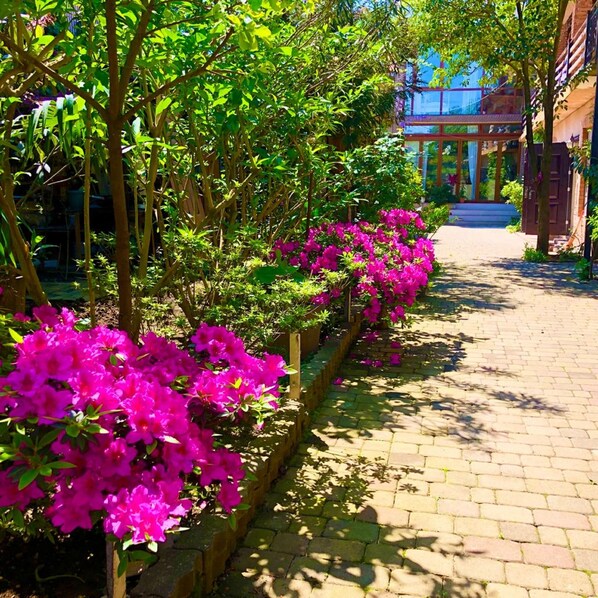 Enceinte de l’hébergement