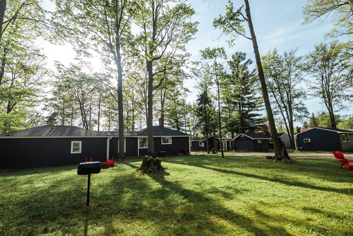 Un terrain de camping doté de plusieurs cabanes, d’une pelouse bien entretenue et d’une grande souche d’arbre.