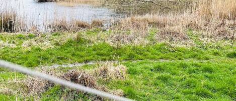 Terrain de lâhĂ©bergement