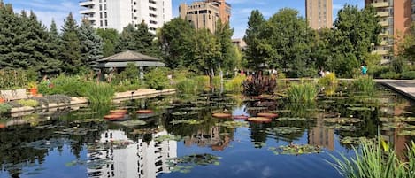 Overnatningsstedets område