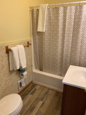 Bathroom - Hidden Haven Cottages - The Main House (Lake City)