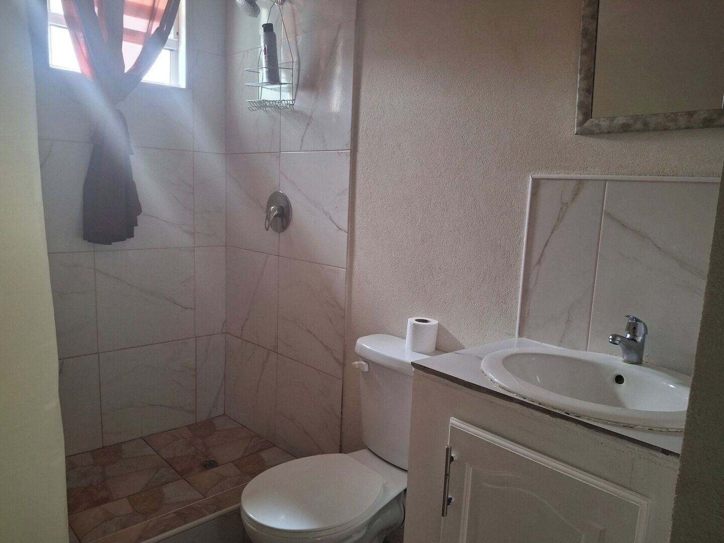 Une petite salle de bain avec des toilettes, un lavabo et une douche.