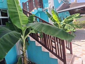 Exterior detail - BLR Beach Villas #2  (Double Bed) (Oistins)