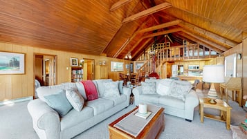 Televisión, chimenea y libros