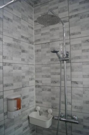 Regadera, secadora de cabello, toallas, papel de baño 