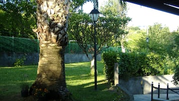 Área da propriedade
