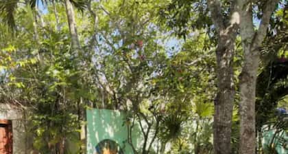 OMA Cancun Holistic Healing Center