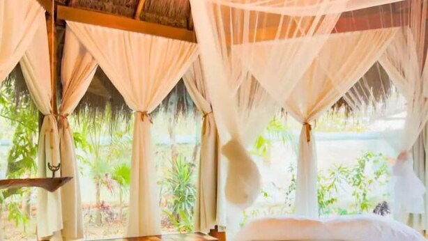 Unclassified image, 1 of 67, button - OMA Cancun Holistic Healing Center (Cancun)