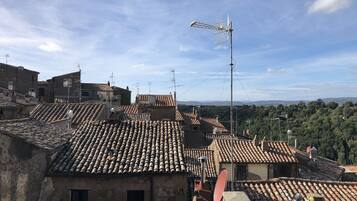 A view of terracotta-tiled rooftops with satellite dishes, surrounded by buildings with traditional architecture and a clear sky.