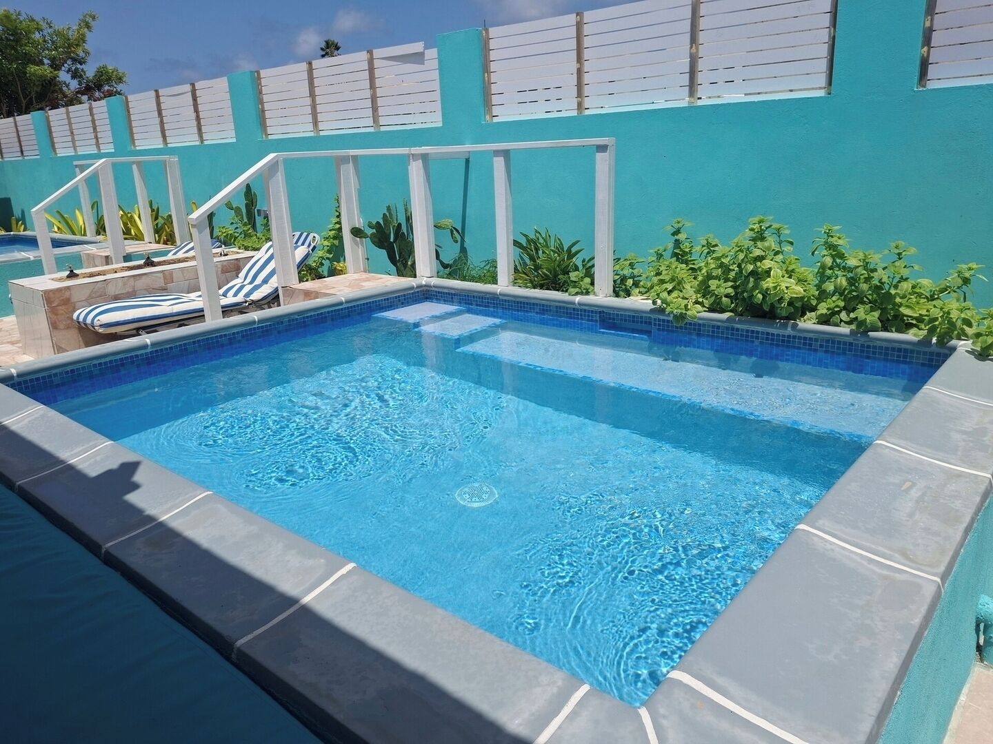Una piscina rectangular con borde de azulejos, rodeada por una valla blanca y vegetación.