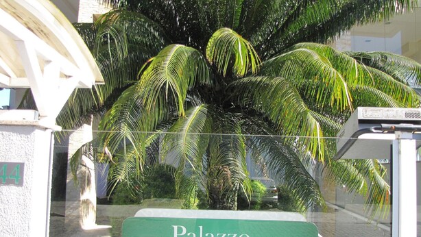A sign for 'Palazzo Bonarda Residencial' with a large palm tree in the background. - Loft Descolado Glória (Joinville)