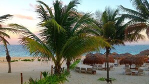 Ein Strand mit Palmen, strohgedeckten Sonnenschirmen und Liegestühlen.