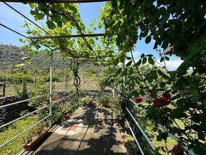 Roches Noires Beach House Sicily | Minibar, escritorio, espacio para trabajar con laptop y wifi gratis