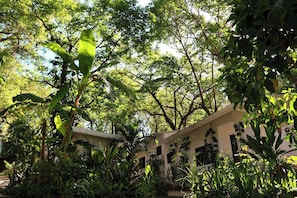 Un jardin luxuriant, avec une grande variété de plantes et d’arbres, un bâtiment doté d’un toit en pente et un chemin menant à l’entrée.