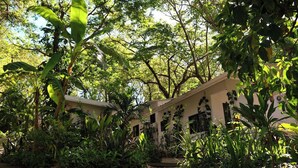 Un edificio rodeado de abundante vegetación, con un sendero de grava que lleva a la entrada.