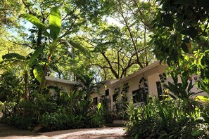 Un edificio rodeado de abundante vegetación, con un sendero de grava que lleva a la entrada.