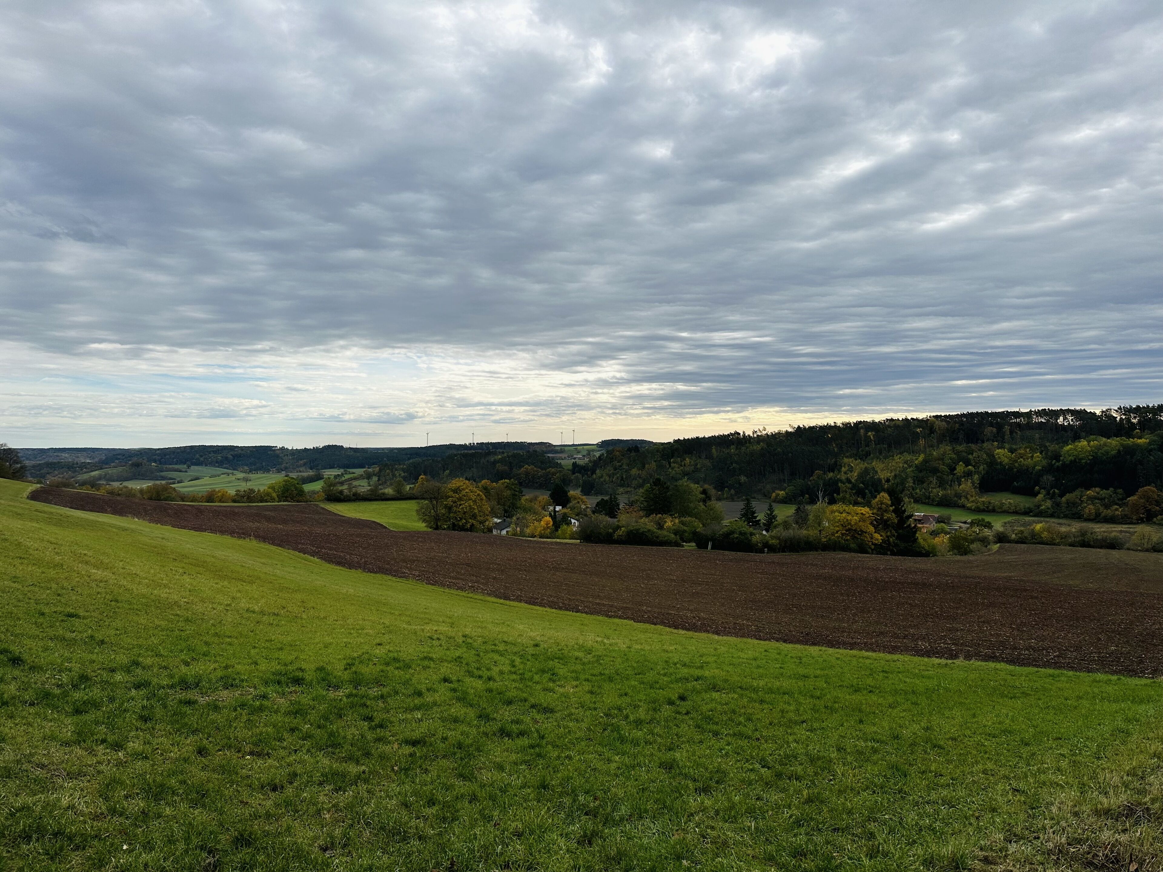 Ländliche Landschaft mit Feldern, Bäumen und einem bewölkten Himmel.