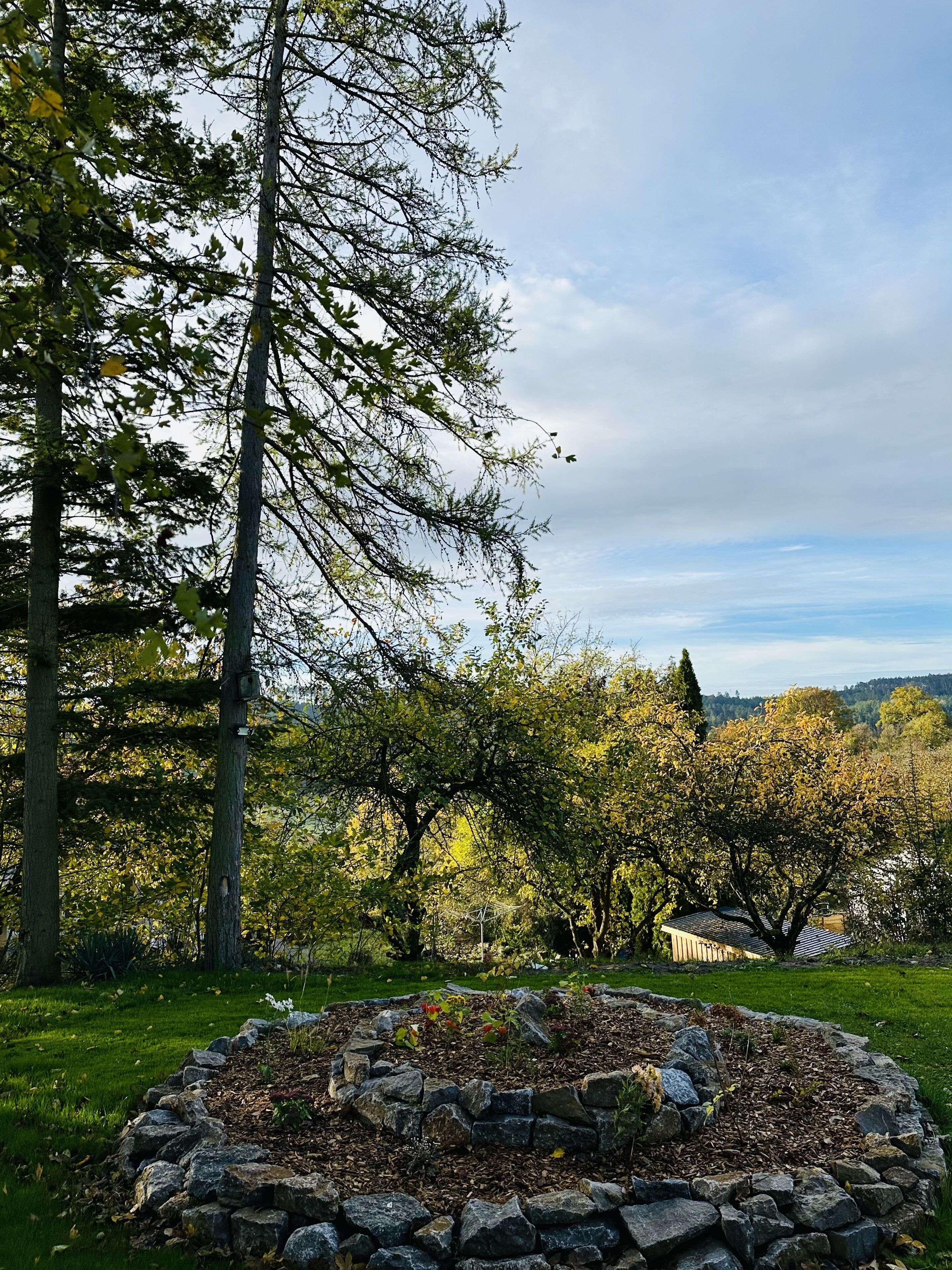 Un giardino curato con bordura in pietra, alberi e vista su un edificio in lontananza.