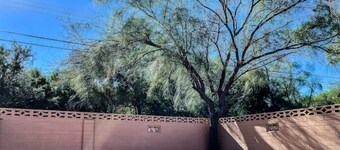 A Peaceful Place Casita – Private Studio with Patio Near TMC, UofA & The Loop