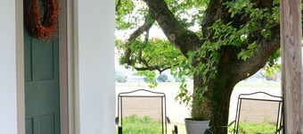 Spruce Edge Guest House
