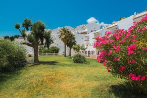 Un quartier résidentiel avec des bâtiments blancs, une pelouse verdoyante et un arbre aux fleurs roses.