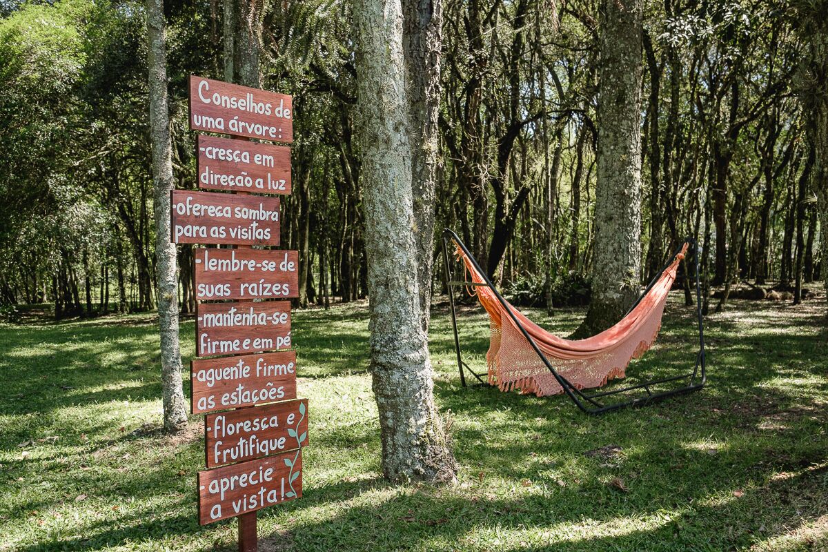 A hammock in a forested area with a sign listing benefits of trees.