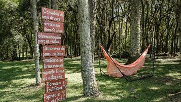 A hammock in a forested area with a sign listing benefits of trees.