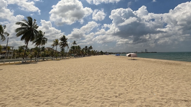 A beach with palm trees, a sandy shore, and a clear sky with clouds.