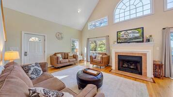 TV connectée, cheminée, jeux vidéo, lecteur de DVD