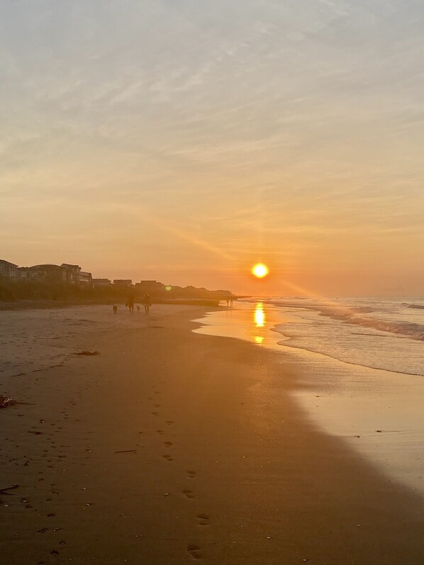 Beach - Cozy and Spacious Condo: Prime Location, Minutes from Beach and Downtown! (Charleston)