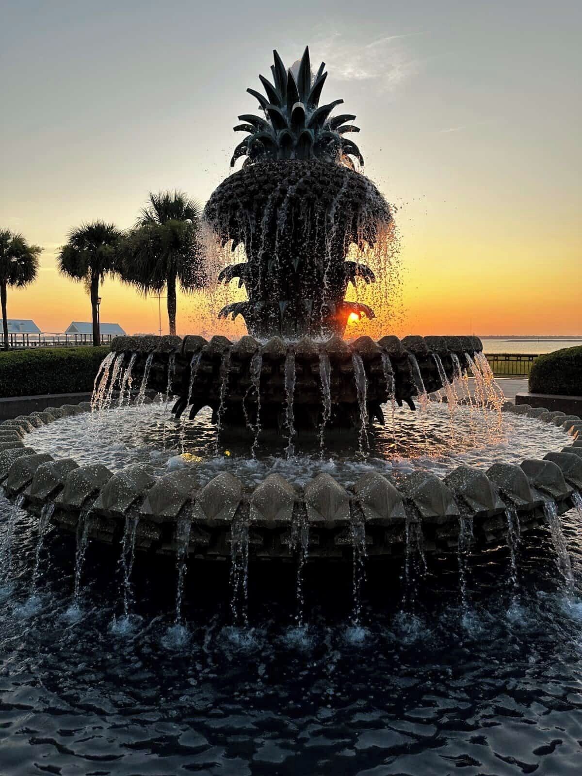 Værtens profilbillede