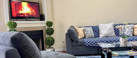 Smart TV, fireplace, books