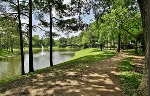 Property grounds - Cozy and Spacious Condo: Prime Location, Minutes from Beach and Downtown! (Charleston)