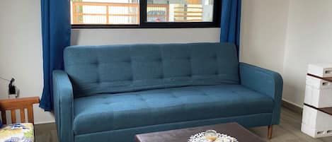 Apartment | Living area | 36-inch Smart TV with digital channels