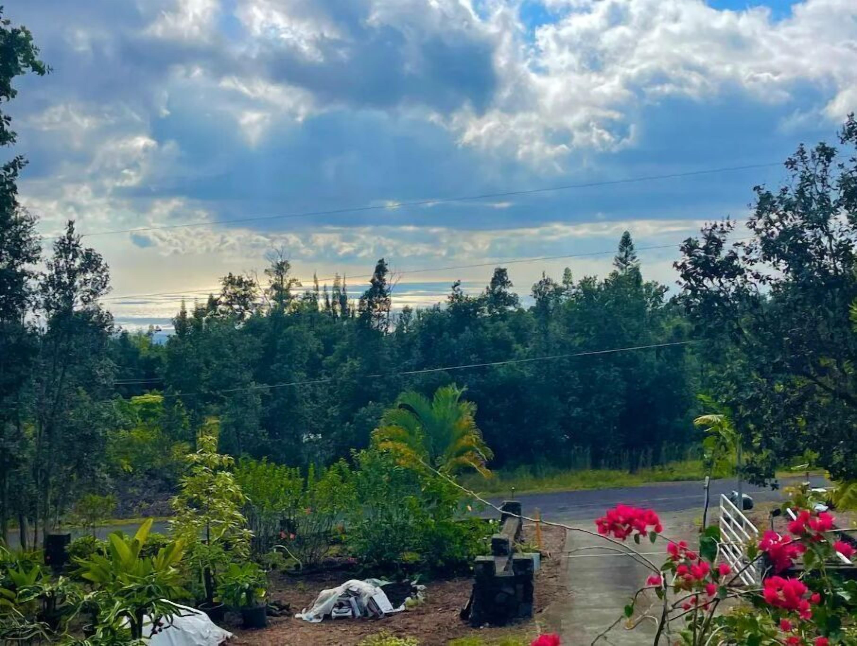 Un jardin luxuriant, avec une variété de plantes et de fleurs, un chemin pavé et, au loin, une vue sur une zone boisée.