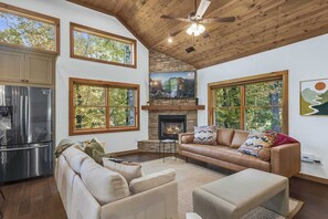 Una televisión, una chimenea