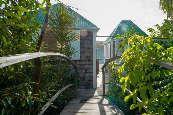 Un sentier en bois mène à un bâtiment doté d’un toit végétalisé, lequel est entouré d’une végétation luxuriante.