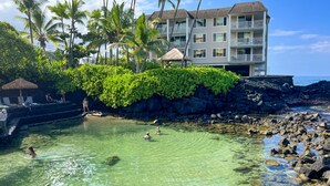 Una piscina cristalina con rocas, palmeras y un edificio con balcones.