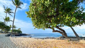 Una playa con un árbol grande, palmeras y el océano al fondo.