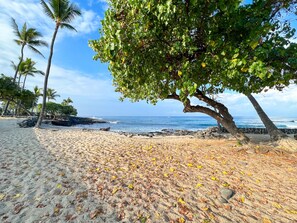 Sun-loungers, beach towels - True Oceanfront, Top-Floor, Downtown, Central A/C, Free Parking (Kailua-Kona)