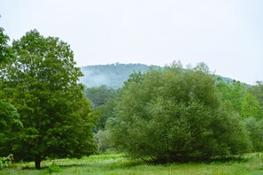 Exterior - The North Branch Inn (North Branch)