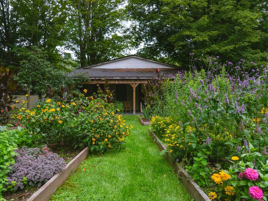 Un giardino con un gazebo, diverse piante fiorite e un vialetto.