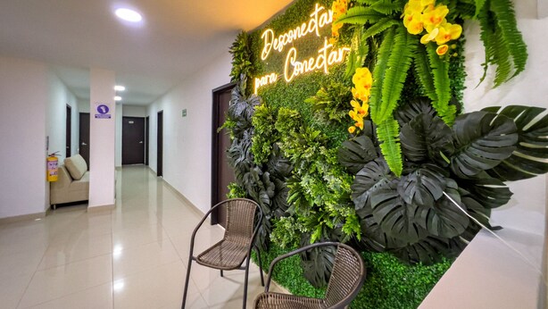 A reception area with a green wall, two wicker chairs, and a neon sign. - Hotel Boutique Veracruz (Santa Rosa de Cabal)