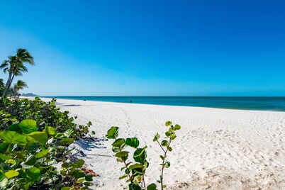 Get Ready for the Ultimate Beachfront Escape in Naples, Florida!